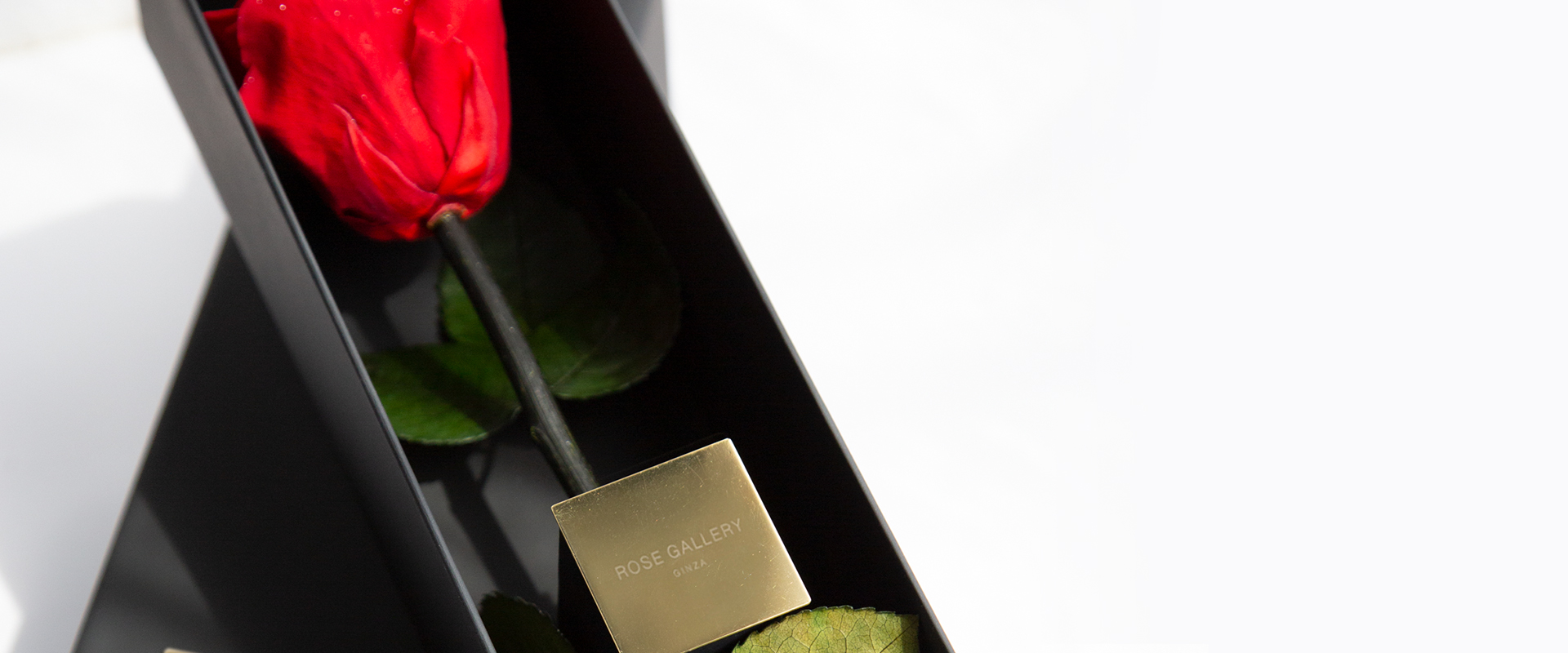 ”ザ･ワンスペシャルエディション”