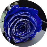 エクセレントブルー