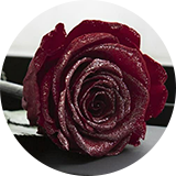 ビンテージワイン