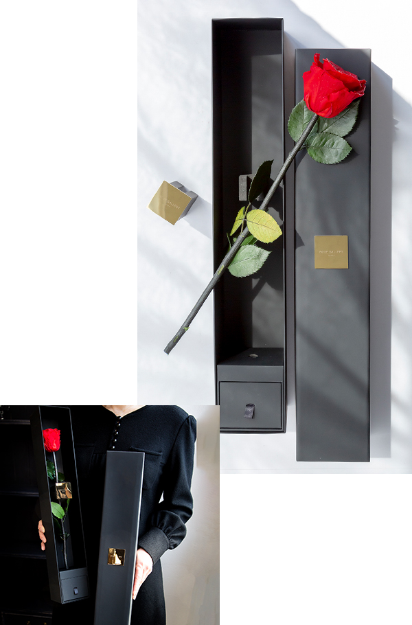 ”ザ･ワンスペシャルエディション”