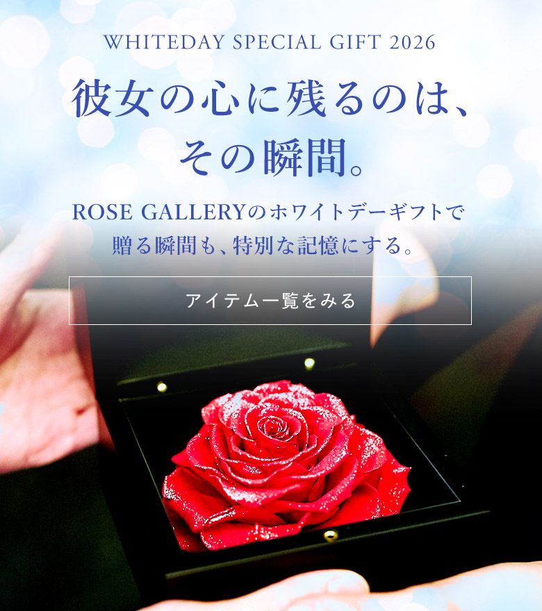 メインビジュアル_SP