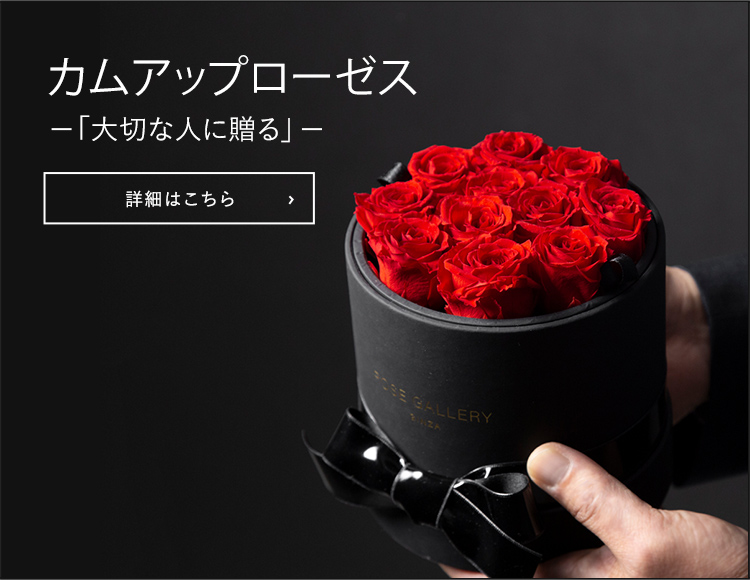 カムアップローズ