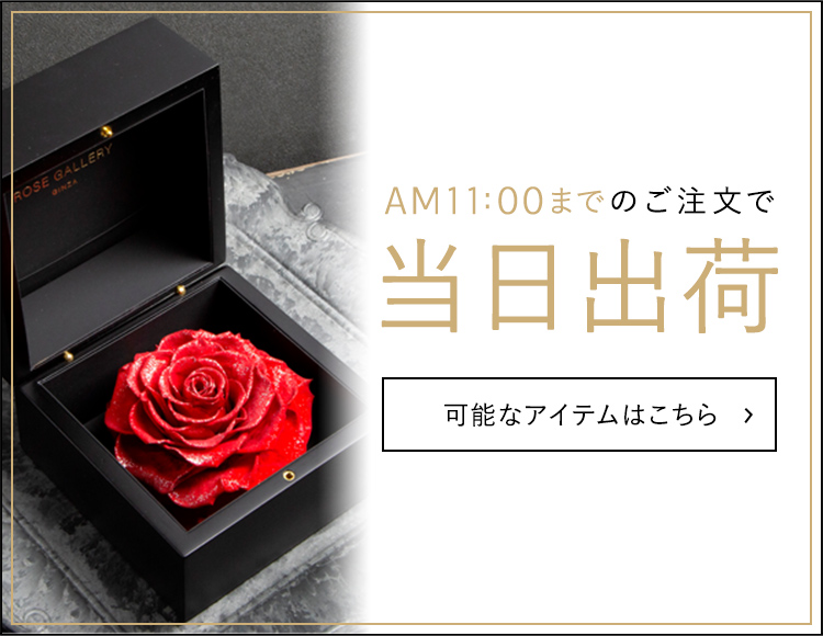 AM11:00までのご注文で当日出荷