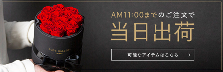 AM11:00までのご注文で当日出荷 可能なアイテムはこちら