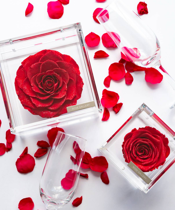 MUSEE DIAMOND ROSE