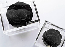 クリスマススペシャルギフト｜ローズギャラリー