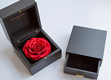 クリスマススペシャルギフト｜ローズギャラリー