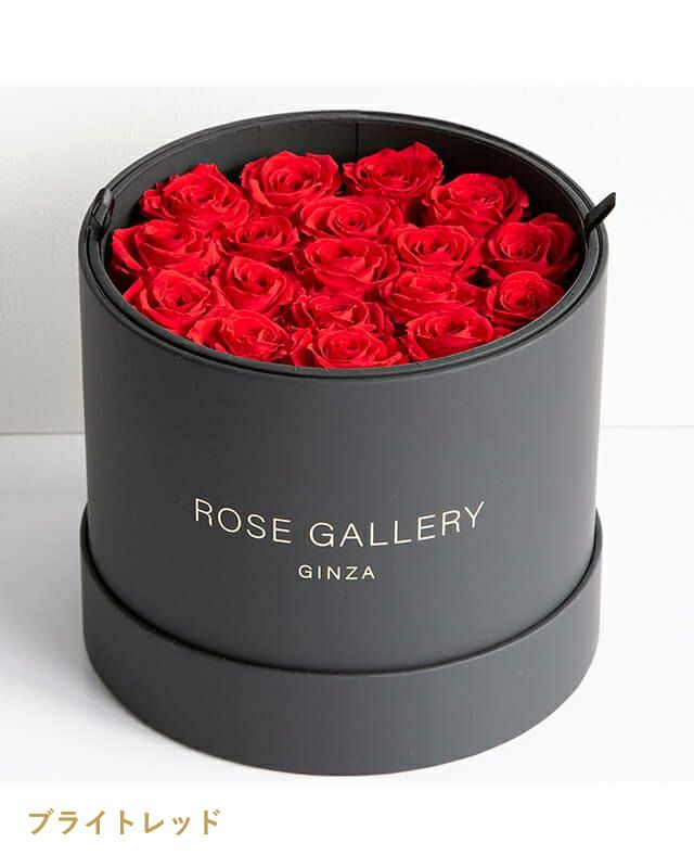 ROSE GALLERY銀座 Mサイズ