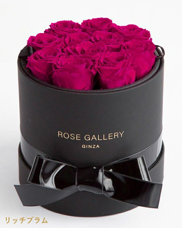 ⑥ ROSE GALLERY 8本 ローズギャラリー プリザーブドフラワー - 通販