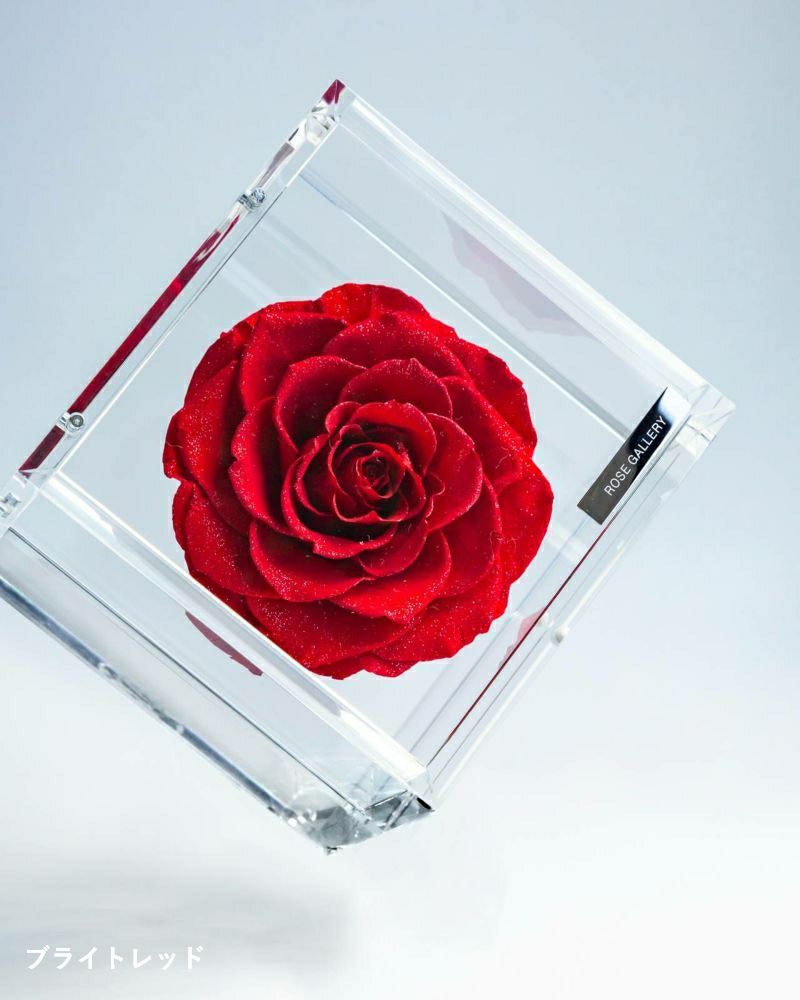 ❤️ROSE GALLERY❤️ミュゼ ダイヤモンドローズボックス 薔薇 新品