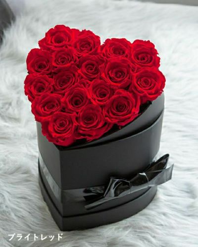 ローズギャラリー　ラヴ　ブライトレッド✖️フェミニンピンク ローズギャラリー ラヴ ブライトレッド✖️フェミニンピンク